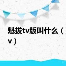 魁拔tv版叫什么（魁拔tv）