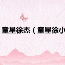 童星徐杰（童星徐小小）