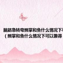 脑筋急转弯熊掌和鱼什么情况下可以兼得(熊掌和鱼什么情况下可以兼得)