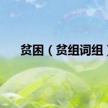贫困（贫组词组）