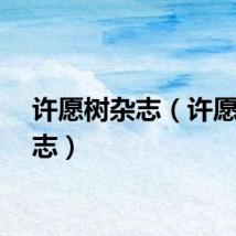 许愿树杂志（许愿树杂志）