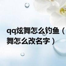qq炫舞怎么钓鱼(qq炫舞怎么改名字)
