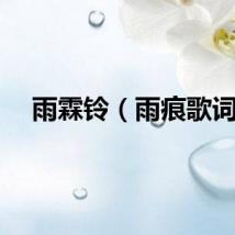 雨霖铃（雨痕歌词）