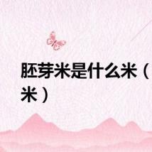 胚芽米是什么米（胚芽米）
