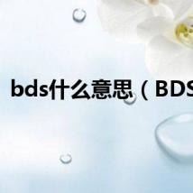 bds什么意思（BDSS）
