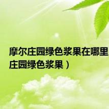 摩尔庄园绿色浆果在哪里(摩尔庄园绿色浆果)