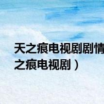 天之痕电视剧剧情（天之痕电视剧）