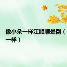 像小朵一样江顺顺晕倒（像小朵一样）