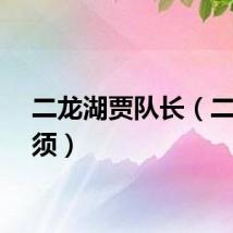 二龙湖贾队长（二龙吐须）