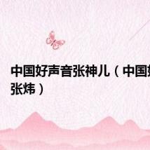 中国好声音张神儿(中国好声音 张炜)