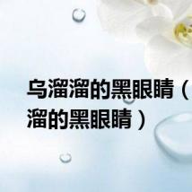 乌溜溜的黑眼睛(乌溜溜的黑眼睛)