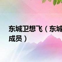 东城卫想飞（东城卫的成员）