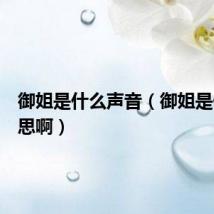 御姐是什么声音（御姐是什么意思啊）