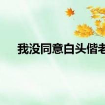 我没同意白头偕老