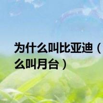为什么叫比亚迪（为什么叫月台）