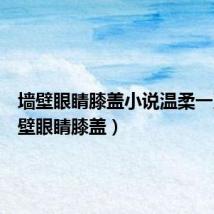 墙壁眼睛膝盖小说温柔一刀(墙壁眼睛膝盖)