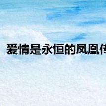 爱情是永恒的凤凰传奇