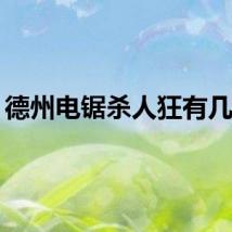 德州电锯杀人狂有几个？