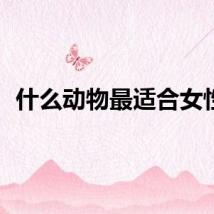 什么动物最适合女性？