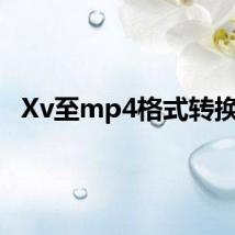 Xv至mp4格式转换器