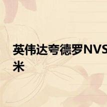 英伟达夸德罗NVS 140米