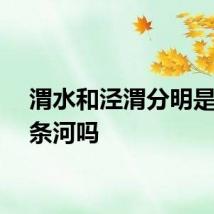 渭水和泾渭分明是同一条河吗