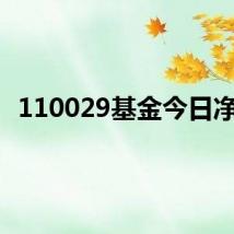 110029基金今日净值