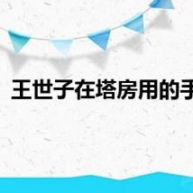 王世子在塔房用的手机
