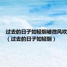 过去的日子如轻烟被微风吹散仿写(过去的日子如轻烟)