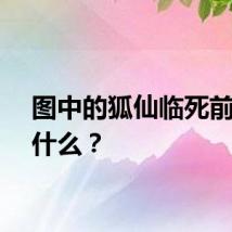 图中的狐仙临死前说了什么？