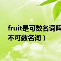 fruit是可数名词吗(是不可数名词)