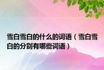 雪白雪白的什么的词语(雪白雪白的分别有哪些词语)