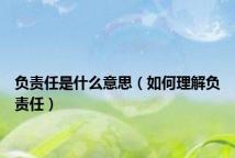 负责任是什么意思(如何理解负责任)