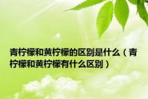 青柠檬和黄柠檬的区别是什么(青柠檬和黄柠檬有什么区别)