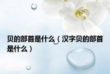 贝的部首是什么(汉字贝的部首是什么)