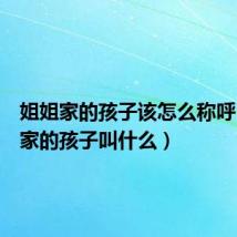 姐姐家的孩子该怎么称呼(姐姐家的孩子叫什么)