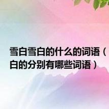 雪白雪白的什么的词语(雪白雪白的分别有哪些词语)