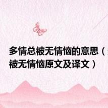 多情总被无情恼的意思(多情总被无情恼原文及译文)