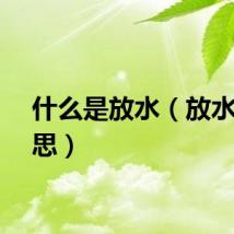 什么是放水（放水的意思）