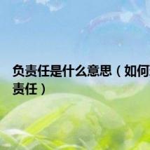 负责任是什么意思(如何理解负责任)
