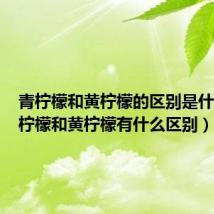 青柠檬和黄柠檬的区别是什么(青柠檬和黄柠檬有什么区别)