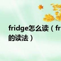 fridge怎么读(fridge的读法)