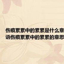 伤痕累累中的累累是什么意思(词语伤痕累累中的累累的意思)