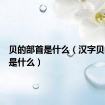 贝的部首是什么(汉字贝的部首是什么)