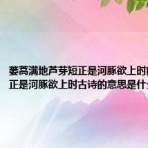 蒌蒿满地芦芽短正是河豚欲上时的意思(正是河豚欲上时古诗的意思是什么)