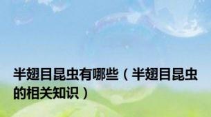 半翅目昆虫有哪些（半翅目昆虫的相关知识）