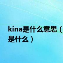 kina是什么意思（kina是什么）