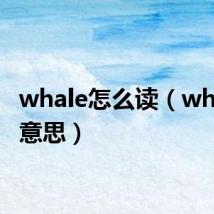 whale怎么读（whale的意思）