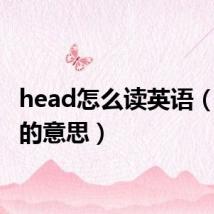 head怎么读英语（head的意思）