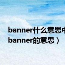 banner什么意思中文（banner的意思）